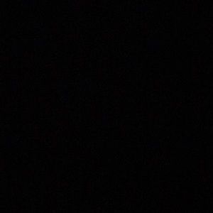 Meet your Posher, Maggie